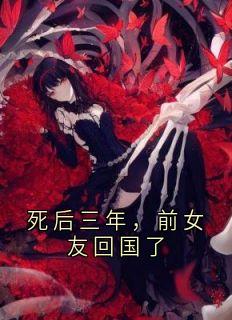 温灼陆途小说死后三年，前女友回国了免费阅读