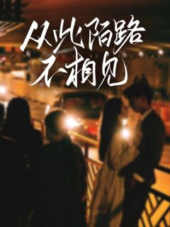 从此陌路不相见小说-从此陌路不相见抖音小说苏安河陆欣然