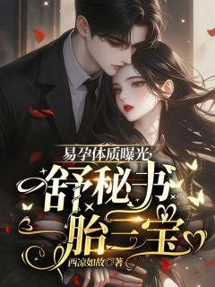 易孕体质曝光，舒秘书一胎三宝【全章节】颜舒霍屿州完结版免费阅读