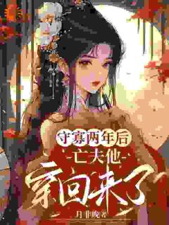 值得熬夜看完的守寡两年后，亡夫他穿回来了小说阅读-暗夜阅读网
