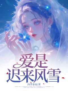 爱是迟来风雪小说百度云完整章节列表免费阅读-暗夜阅读网