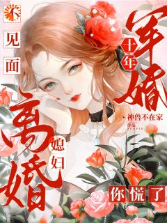 免费完结小说军婚十年不见面，媳妇离婚你慌了沈流芳边叙无弹窗免费阅读