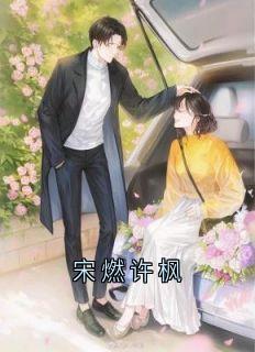 宋燃许枫小说(连载文)-许枫闻懿宋燃无广告阅读
