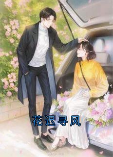 抖音爆款小说花迟寻风许枫闻懿宋燃免费txt全文阅读