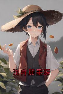 沈冉顾墨琛沈心是哪部小说的主角 沈冉顾墨琛全文无弹窗-暗夜阅读网