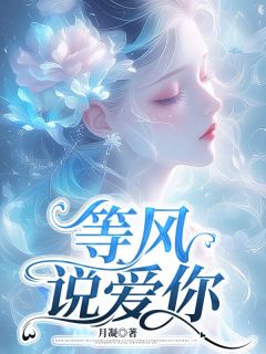 等风说爱你小说_等风说爱你小说结局阅读