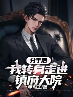 主角李宏伟林曼丽小说完整版-分手后，我转身走进镇府大院免费阅读全文-暗夜阅读网
