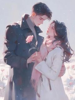 爆款热文宋沐妍郑易州在线阅读-攻略成功后,深情女二变心了全章节列表-暗夜阅读网