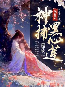 朱雀司神捕是朵黑心莲夏听雨薛靖南大结局小说全章节阅读