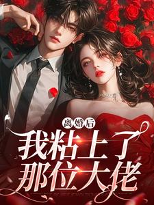 舒愿陆骁全章节阅读-离婚后，我粘上了那位大佬全文分享阅读