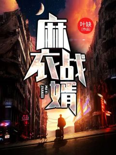爆款小说由作者叶缺所创作的麻衣战婿在线阅读