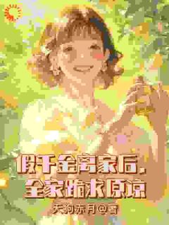 抖音假千金离家后，全家跪求原谅小说章节阅读-暗夜阅读网