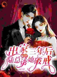 我了却情缘，竹马却跪寺外求我回头许初颜陆瑾州-冰美式小说-暗夜阅读网