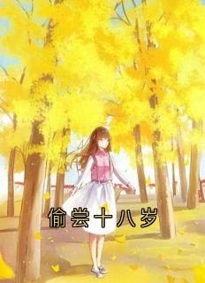 爆款小说偷尝十八岁在线阅读-时微商砚免费阅读