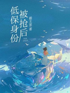 低保身份被抢后by霸王星小说完结版在线阅读-暗夜阅读网
