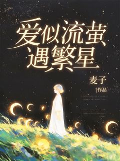 强烈推荐爱似流萤遇繁星沐星澜陆司沉在线阅读