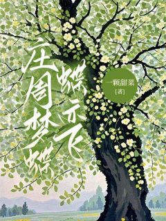 【抖音热推】安良辰宋问凝宋问月全文在线阅读-庄周梦蝶蝶亦飞全章节目录