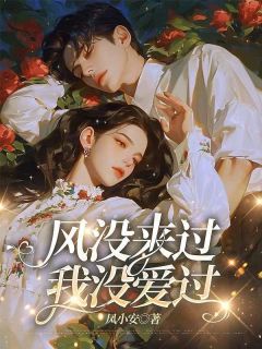 风没来过，我没爱过小说全章节目录阅读BY凤小安完结版阅读