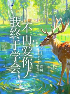 我终于学会不再爱你小说好看吗 孟婉顾城最后结局如何