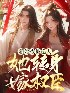 新上新婚夜被送人，她转身嫁权臣七玥小说免费阅读-暗夜阅读网