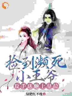 捡到濒死小王爷，反手送他上皇位(新书)小说_雪小暖战无忌阅读