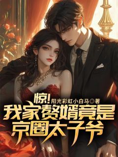 惊！我家赘婿竟是京圈太子爷小说陆清婉霍清寒最新章节阅读