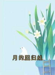 (抖音小说)沈月张杨小说全文阅读免费