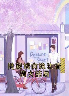陆毅城向晚沈清清大结局温向晚陆毅城全章节完结版在线阅读-暗夜阅读网