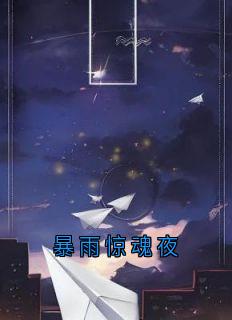 (精品)暴雨惊魂夜小说-暗夜阅读网