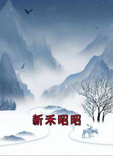 老书虫书荒推荐新禾昭昭txt小说阅读-暗夜阅读网