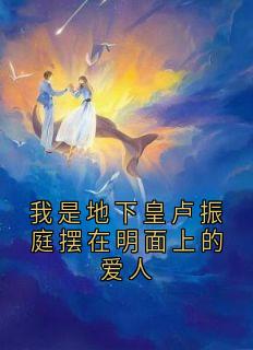 我是地下皇卢振庭摆在明面上的爱人(新书)大结局在线阅读-暗夜阅读网