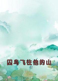囚鸟飞往他的山小说(完整版)-林洛栖傅纪舟章节阅读