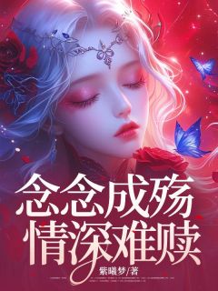 念念成殇，情深难赎时念陆以琛小说全文章节阅读