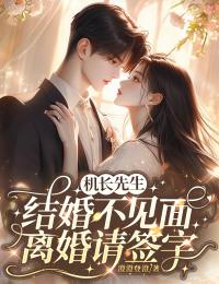 机长先生，结婚不见面，离婚请签字最新章节免费阅读by澄澄登澄无广告小说