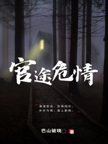 官途危情[抖音]小说-冯天明安静无删减阅读