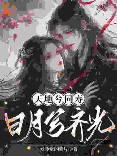 天地兮同寿，日月兮齐光杨戬敖芯小说_天地兮同寿，日月兮齐光完结版阅读