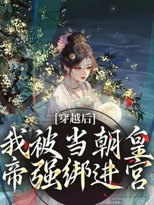 穿越后，我被当朝皇帝强绑进宫精彩章节-穿越后，我被当朝皇帝强绑进宫免费阅读全文-暗夜阅读网