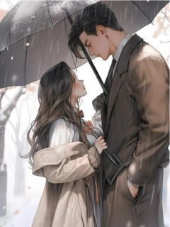 苏枝意晏辰年小说无广告阅读