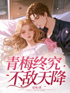 安冉写的小说青梅终究不敌天降苏洛宋文韬全文阅读-暗夜阅读网
