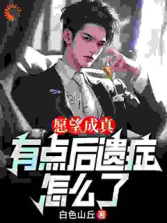 愿望成真，有点后遗症怎么了周轩柳青荷免费阅读-愿望成真，有点后遗症怎么了白色山丘小说-暗夜阅读网