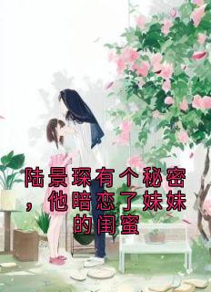 陆景琛有个秘密，他暗恋了妹妹的闺蜜秦如烟陆景琛全章节完结版在线阅读-暗夜阅读网