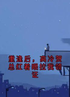 作者乔晚柠写的重逢后，高冷贺总红着眼拉我领证小说大结局全章节阅读
