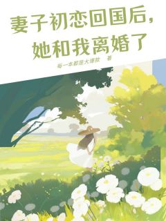 妻子初恋回国后,她和我离婚了秦薇薇吴岳宋青全章节完结版在线阅读