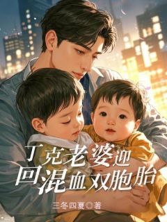 独家丁克老婆迎回混血双胞胎小说-主角姜慕瑶陆子明全文免费阅读