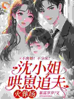 沈念安霍瑾川章节免费阅读