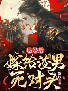 退婚后，嫁给渣男死对头苏蝉衣楚承玄小说完整在线阅读