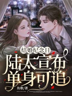 结婚纪念日，陆太宣布单身可追完整版-黎早陆向宁在线全文阅读