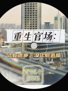 重生官场：从基层开始一路逆袭免费阅读全文，主角黎卫彬林清泉小说完整版