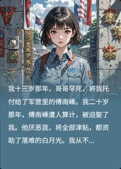 唐禾傅南嵊是哪本小说主角 七九年，我独自南下去见军嫂免费全章节阅读-暗夜阅读网