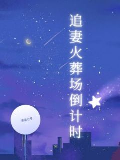 追妻火葬场倒计时小说全集(陈喻顾北辰江晚)无弹窗广告阅读